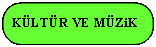 Rechteck: abgerundete Ecken: KLTR VE MZiK