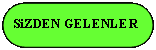 Rechteck: abgerundete Ecken: SiZDEN GELENLER