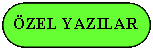 Rechteck: abgerundete Ecken: ZEL YAZILAR